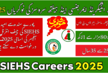 Sindh Jobs