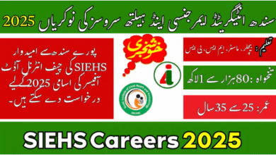 Sindh Jobs