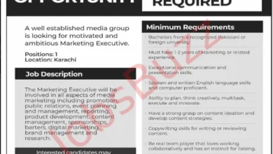 Job for Marketing Executive