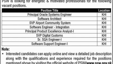 Pakistan Single Window (PSW) – Career Opportunities 2025