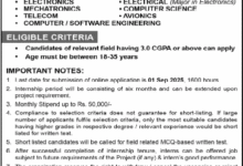 Internship Opportunities 2025
