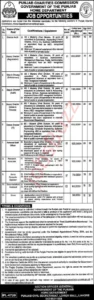 Jobs in Punjab Charities 2025