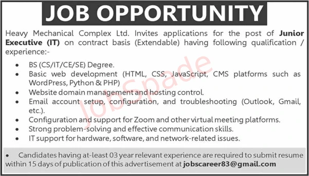 IT Executive Jobs