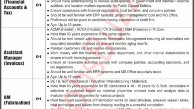 Karachi Shipyard & Engineering Works Limited (KSEW)