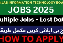 PITB Jobs 2025