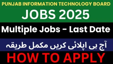 PITB Jobs 2025