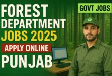 latest Government jobs in Punjab - Punjab Forest Jobs 2025