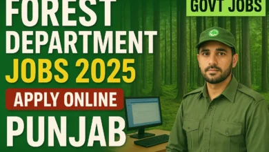 latest Government jobs in Punjab - Punjab Forest Jobs 2025