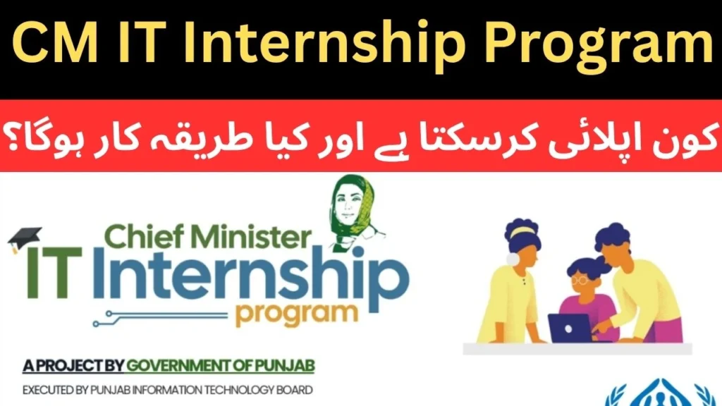 CM IT Internship Program 2025