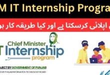 CM IT Internship Program 2025